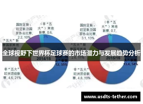 全球视野下世界杯足球赛的市场潜力与发展趋势分析